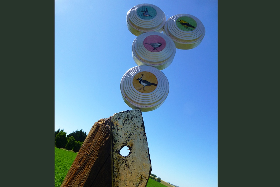 22-Les ornithoglyphes