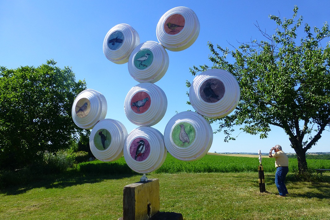 36-Les ornithoglyphes