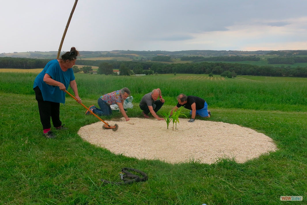 07-Epandage du chanvre