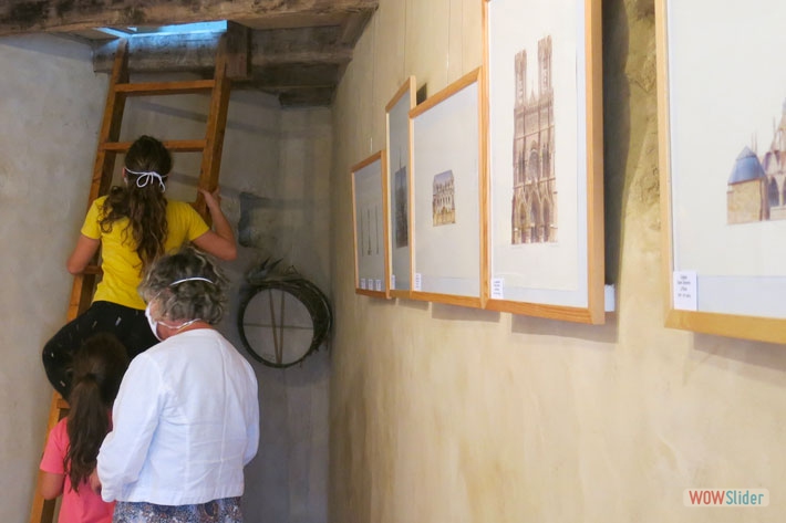 18-Ascension vers les nichoirs