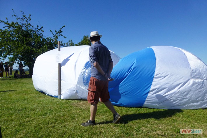 17-La pézize gonflait